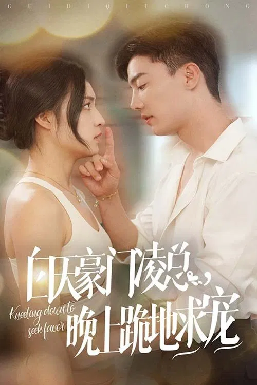 白天豪门凌总，晚上跪地求宠