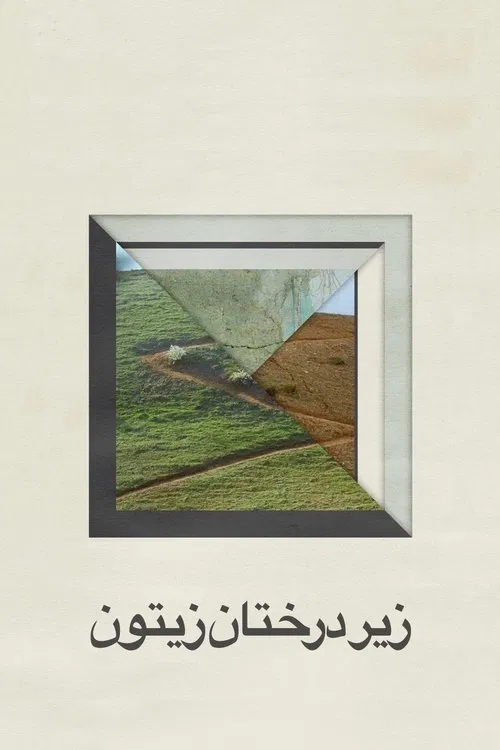 زیر درختان زیتون