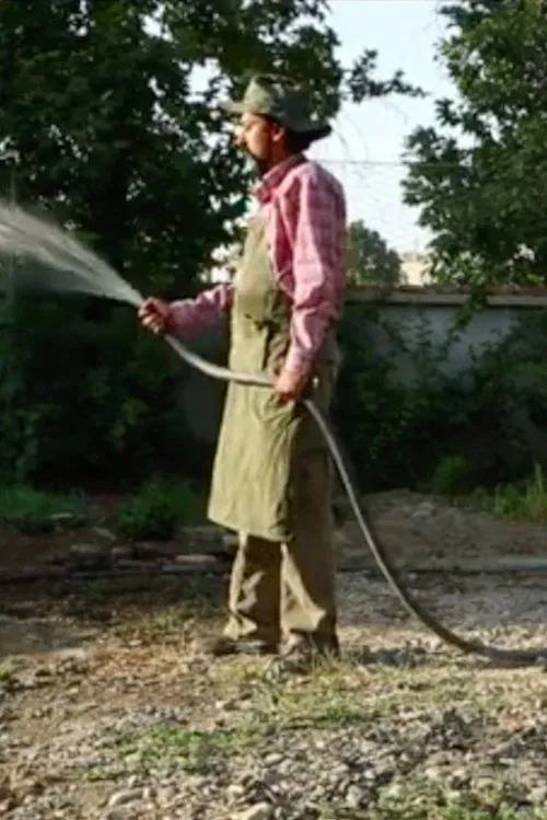 Venezia 70 - Future Reloaded, Abbas Kiarostami